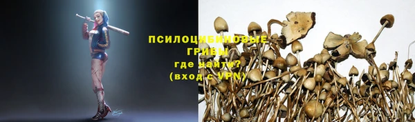 a pvp Елизово